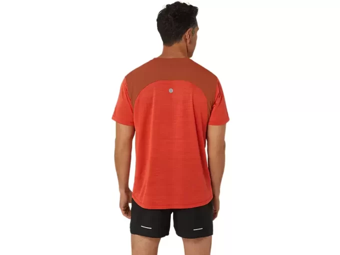 BLUZKA Z KRÓTKIM RĘKAWEM ROAD BLUZKA Z KRÓTKIM RĘKAWEM ROAD