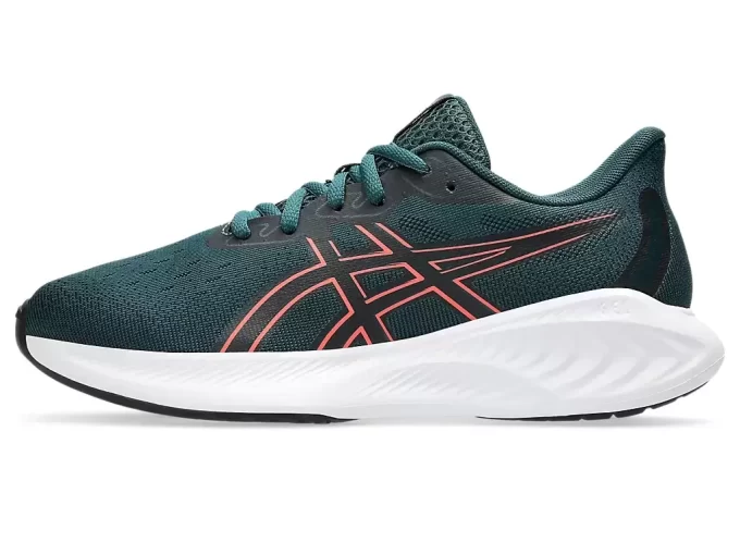 GEL-CUMULUS SZKOŁA 26 KLASY GEL-CUMULUS SZKOŁA 26 KLASY