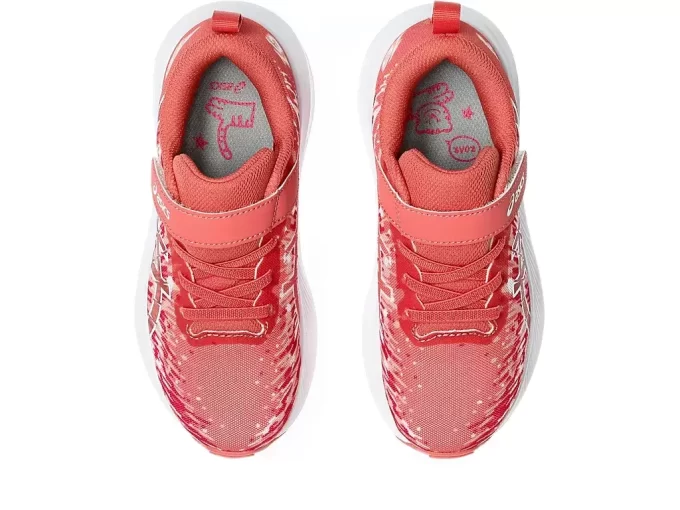 PRZEDSZKOLE PRE NOOSA TRI 16